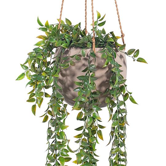 Pot Flo Hanging Pack of 2