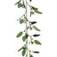 12 x Eucalyptus Seed Garland