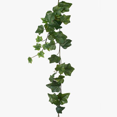 12 x Ivy English Garland