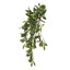 12 x Laurel Leaf Hanging Bush