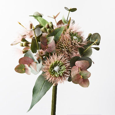 6 x Protea Hybrid Mix Bouquet