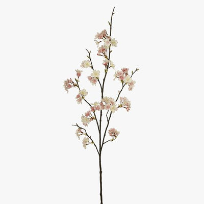 Blossom Cherry Pack of 12