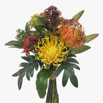 Protea Skimmia Bouquet Pack of 6