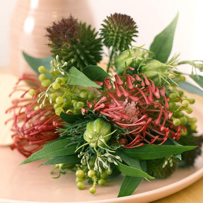 Protea Skimmia Bouquet Pack of 6