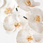 Orchid Phalaenopsis Infused x8 Pack of 12