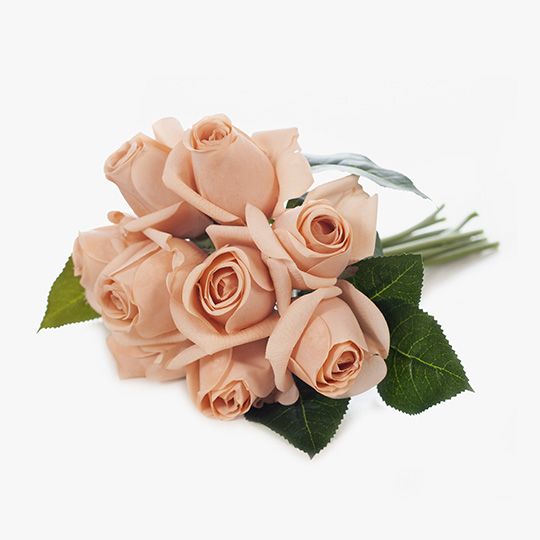 6 x Rosebud Bouquet