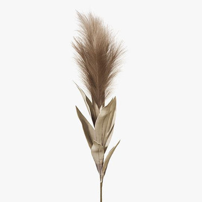 12 x Pampas Grass w/Leaf