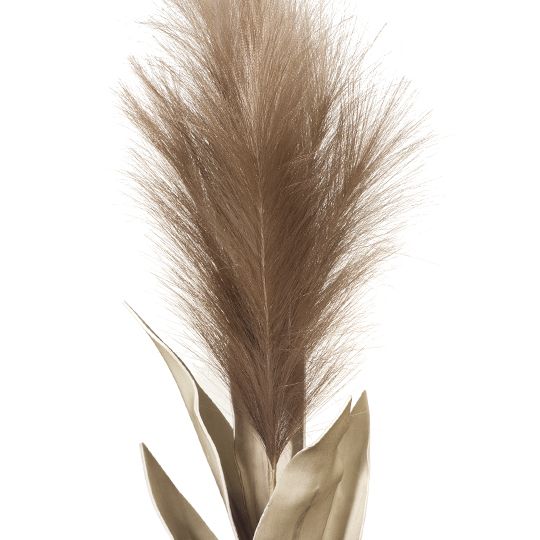 12 x Pampas Grass w/Leaf