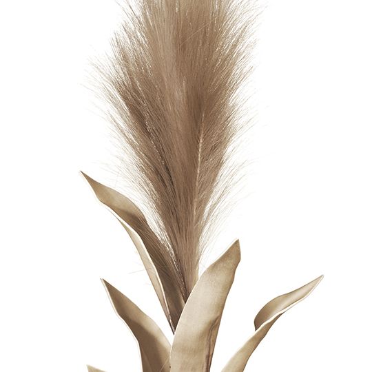 12 x Pampas Grass w/Leaf