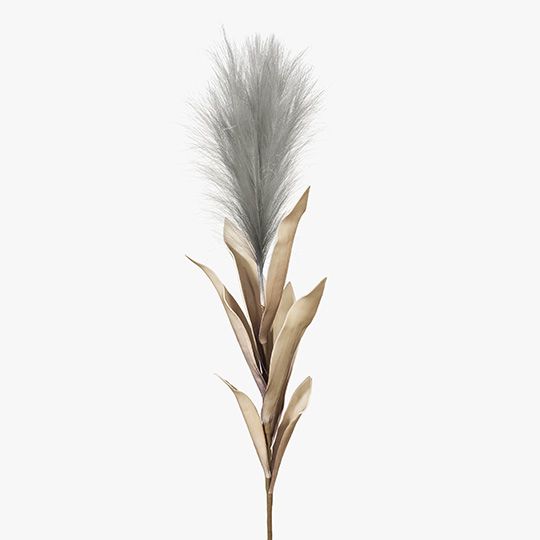 12 x Pampas Grass w/Leaf