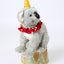 Carnival Koala on Circus Platform