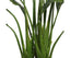 Artificial Bird of Paradise Plant 110cm