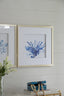 Set of 2 Blue Coral Framed Prints