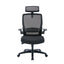 Mesh Ergonomic Office Chair - Black
