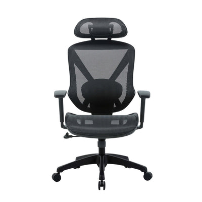 Mesh Ergonomic Office Chair - Black