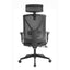 Mesh Ergonomic Office Chair with Headrest - Black