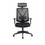 Mesh Ergonomic Office Chair with Headrest - Black