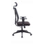 Mesh Ergonomic Office Chair with Headrest - Black