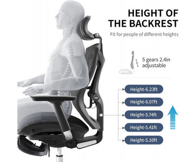 Sihoo Ergonomic Office Chair V1 4D Adjustable High-Back Breathable With Footrest And Lumbar Support Black