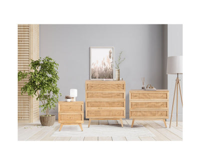 Olearia Storage Cabinet Buffet Chest of 4 Drawer Mango Wood Rattan Natural