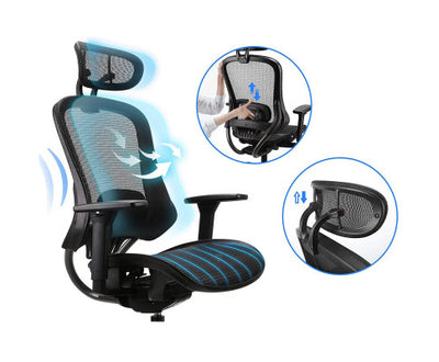 Mech Ergonomic Mesh Executive Chair with 2D Armrest