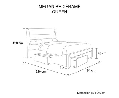 Storage Bed Frame Queen Size Upholstery Fabric in Light Grey with Base Drawers