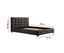 Double PU Leather Deluxe Bed Frame Black