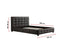 Queen PU Leather Deluxe Bed Frame Black