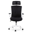 Office Chair - Black and White