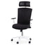 Office Chair - Black and White