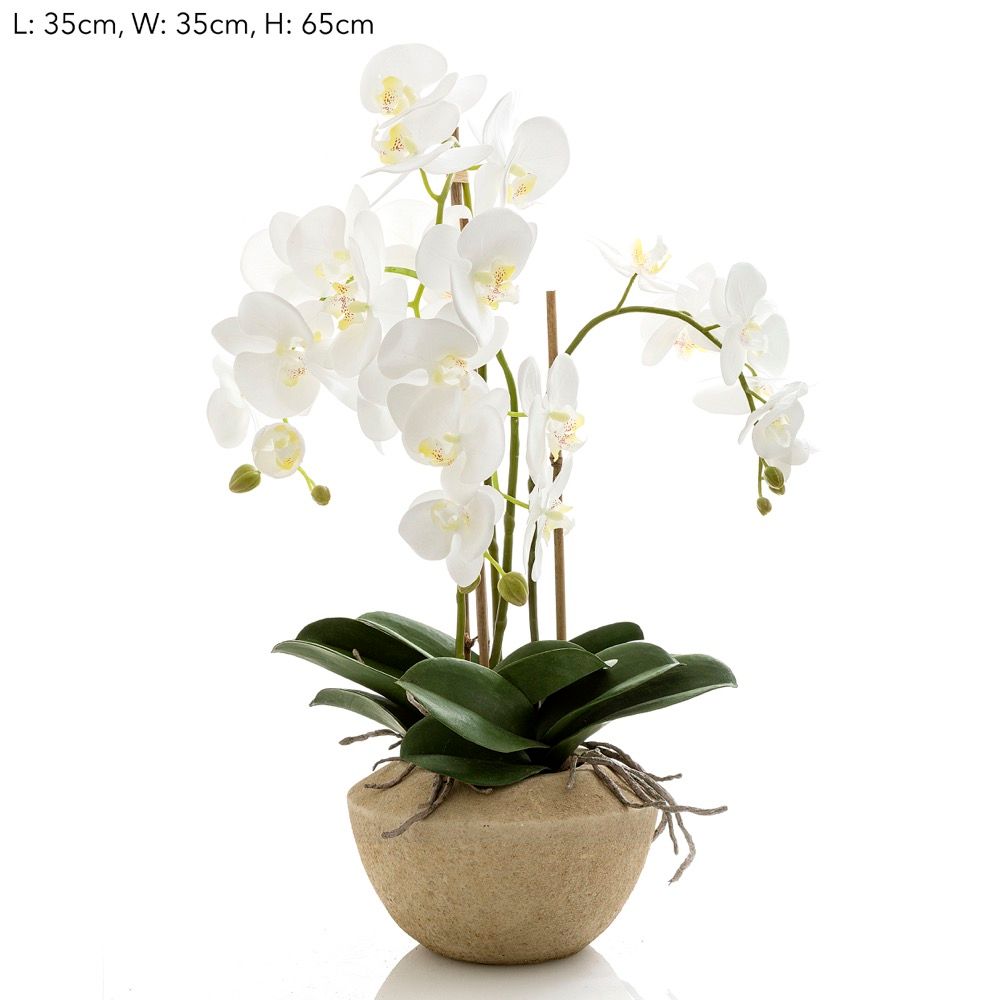 Orchid in Stone Pot Med White– House of Isabella AU