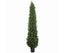 UV Resistant Cypress Pine Tree 1.8m